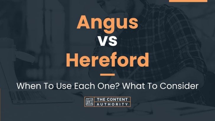 Angus vs Hereford: When To Use Each One? What To Consider