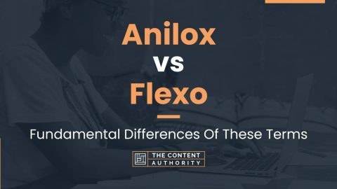 Anilox vs Flexo: Fundamental Differences Of These Terms