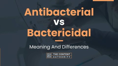 Antibacterial vs Bactericidal: Meaning And Differences