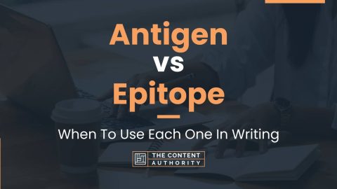 Antigen vs Epitope: When To Use Each One In Writing