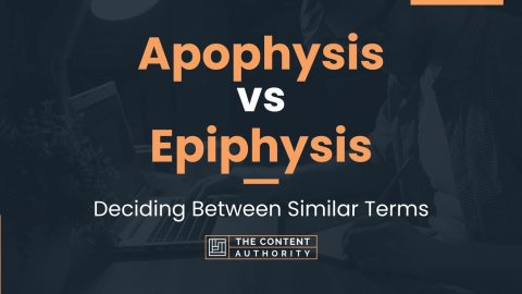 Apophysis vs Epiphysis: Deciding Between Similar Terms