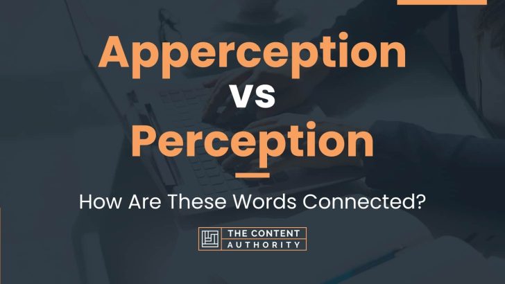 Apperception vs Perception: How Are These Words Connected?