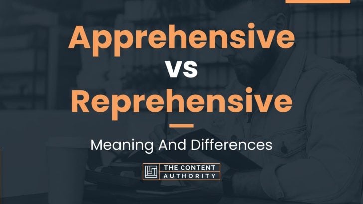 Apprehensive vs Reprehensive: Meaning And Differences