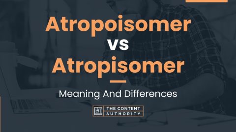 Atropoisomer vs Atropisomer: Meaning And Differences