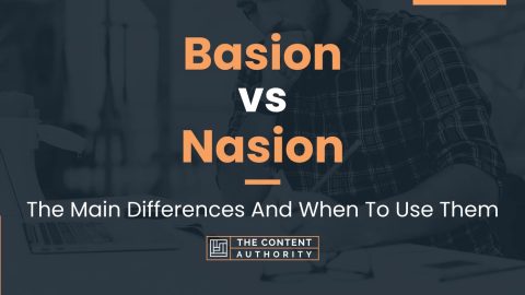 Basion vs Nasion: The Main Differences And When To Use Them