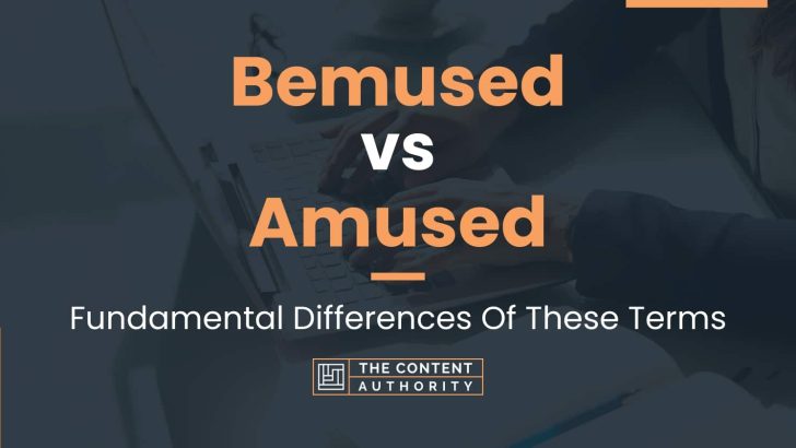 Bemused vs Amused: Fundamental Differences Of These Terms