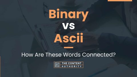 Binary vs Ascii: How Are These Words Connected?