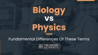 Biology Vs Physics: Fundamental Differences Of These Terms