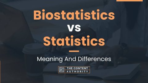 phd in statistics vs biostatistics