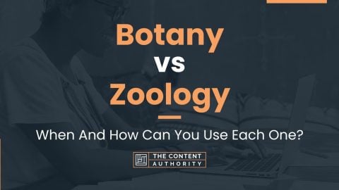 Botany Vs Zoology: When And How Can You Use Each One?