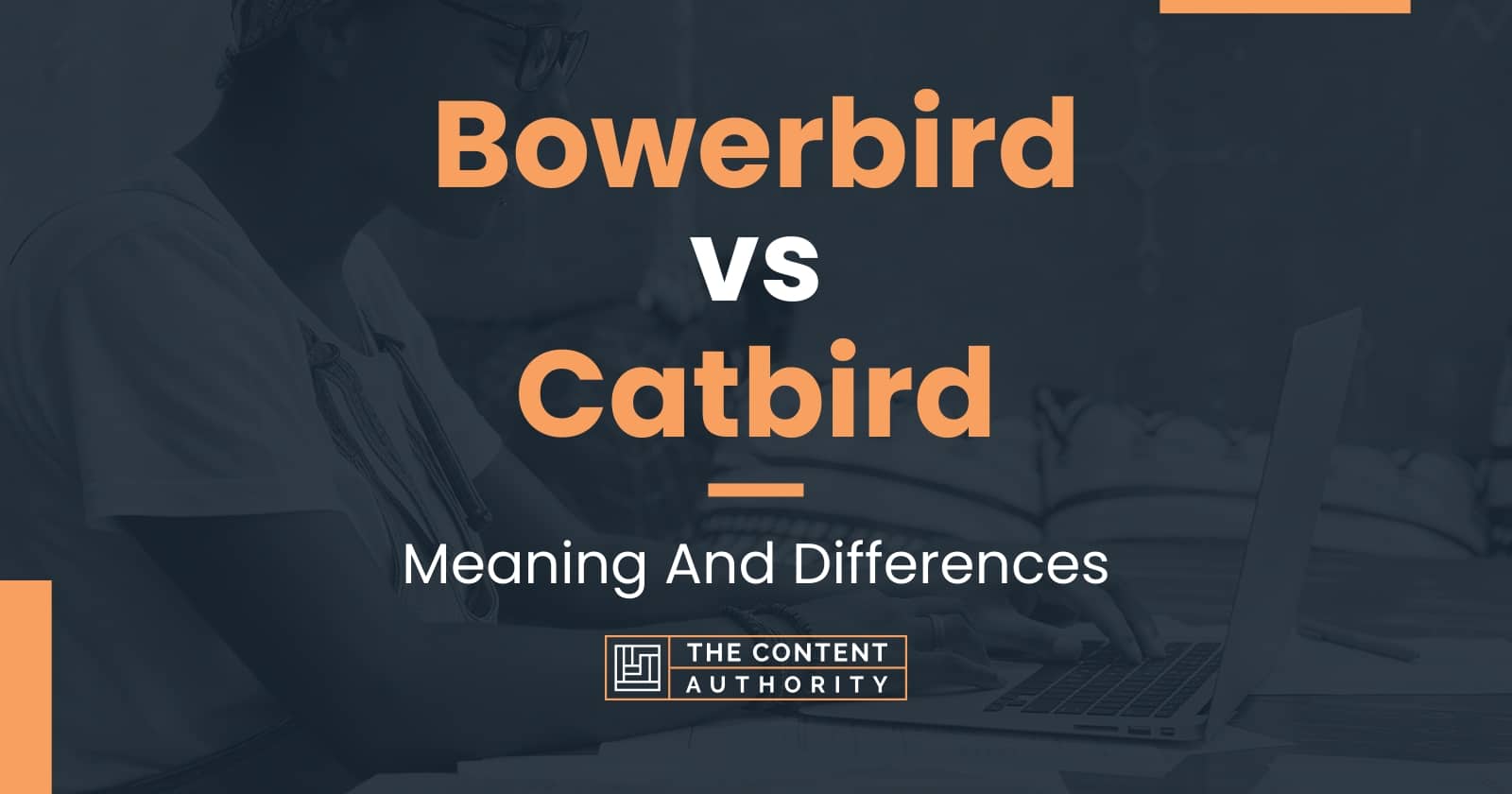 Bowerbird vs Catbird: Meaning And Differences