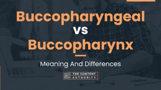 Buccopharyngeal vs Buccopharynx: Meaning And Differences