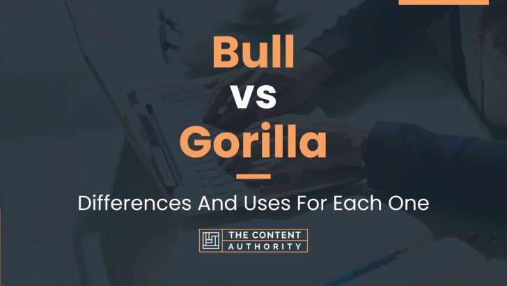 Bull vs Gorilla: Differences And Uses For Each One