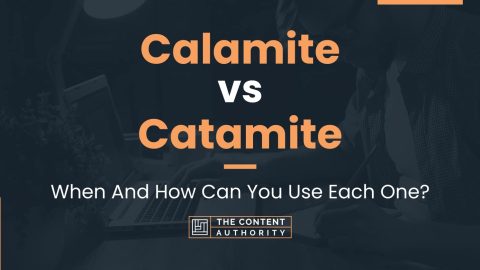 Calamite vs Catamite: When And How Can You Use Each One?