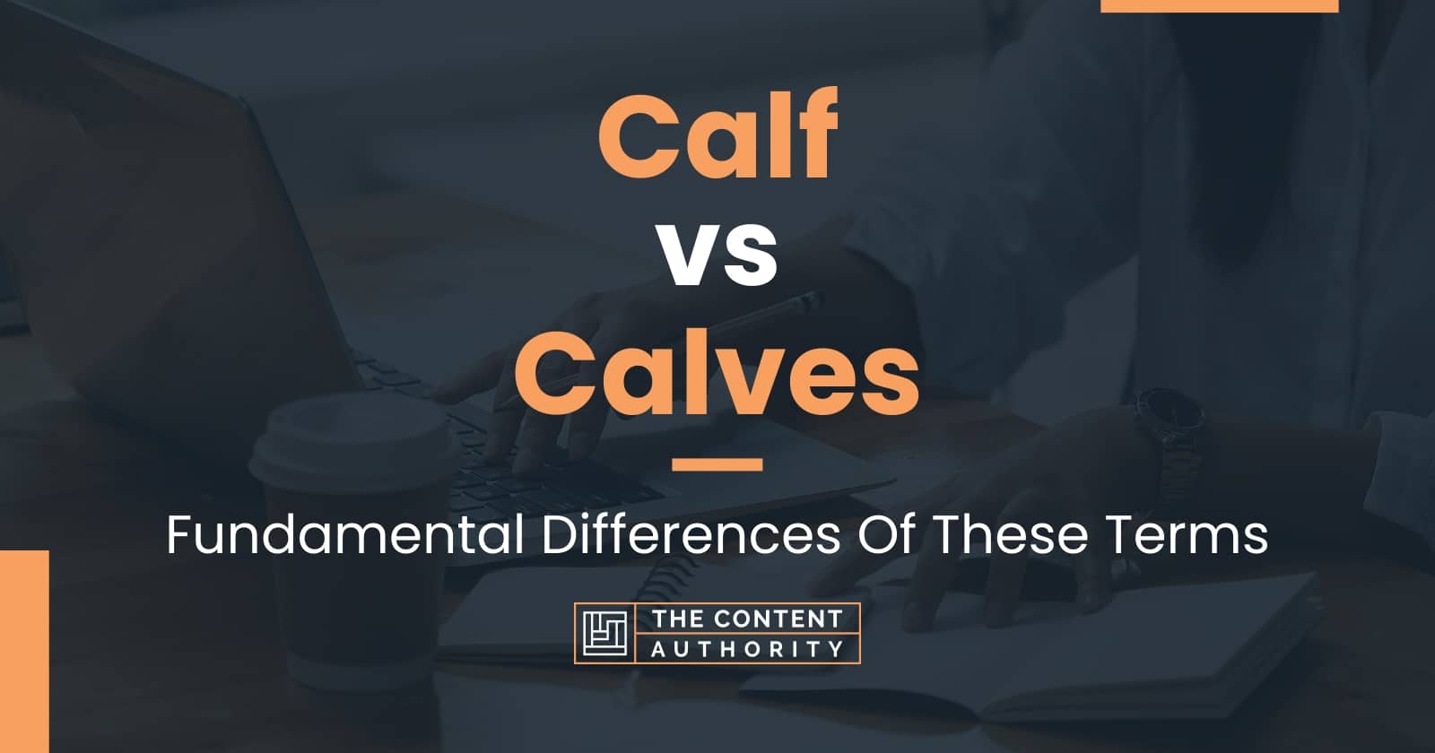 Calf vs Calves Fundamental Differences Of These Terms