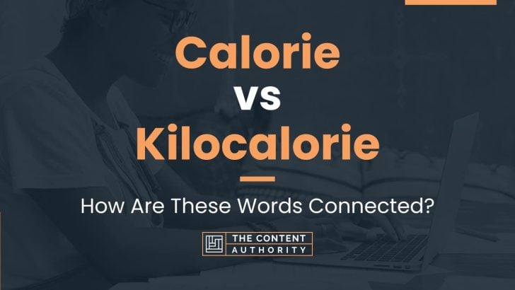 Calorie Vs Kilocalorie: How Are These Words Connected?