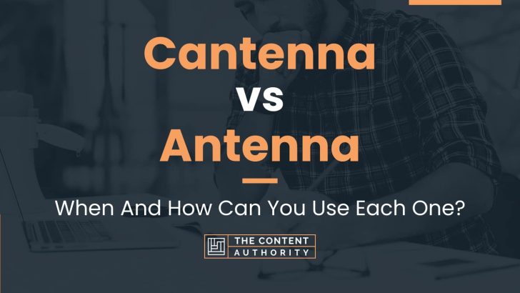 Cantenna vs Antenna: When And How Can You Use Each One?