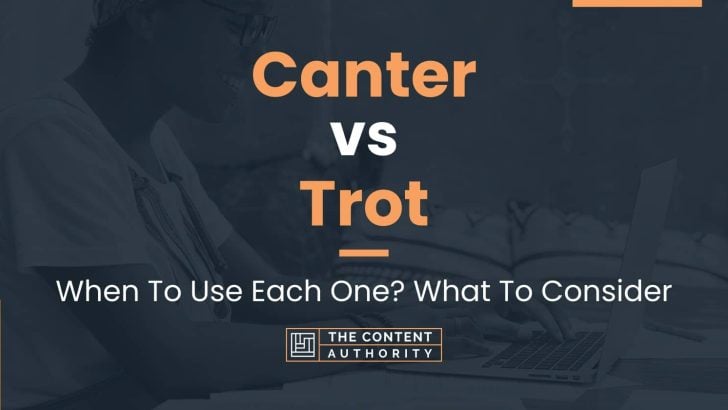 Canter vs Trot: When To Use Each One? What To Consider