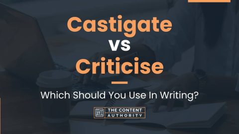 Castigate vs Criticise: Which Should You Use In Writing?