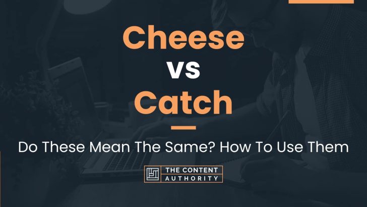 Cheese vs Catch: Do These Mean The Same? How To Use Them