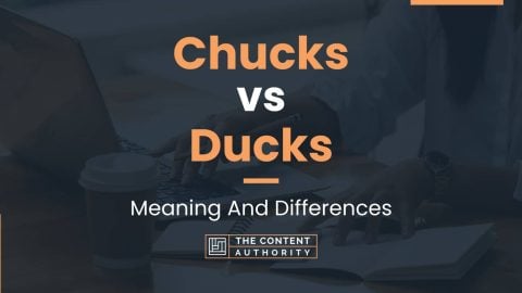 Chucks vs Ducks: Meaning And Differences