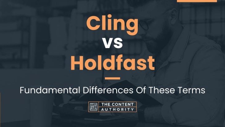 cling-vs-holdfast-fundamental-differences-of-these-terms