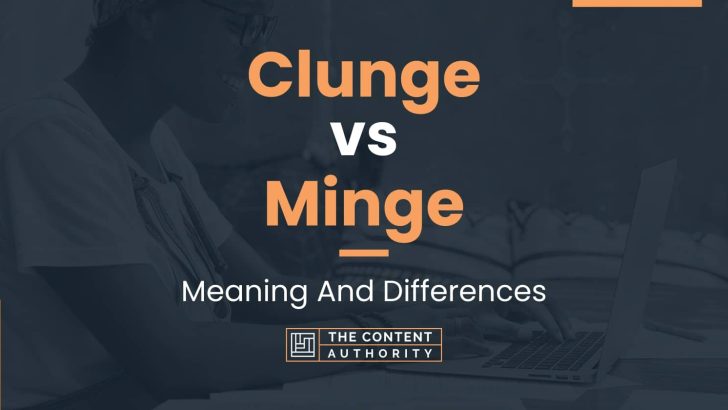 Clunge vs Minge: Meaning And Differences