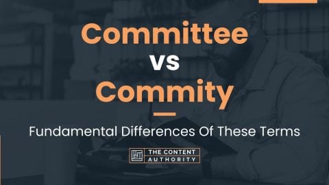 Committee vs Commity: Fundamental Differences Of These Terms