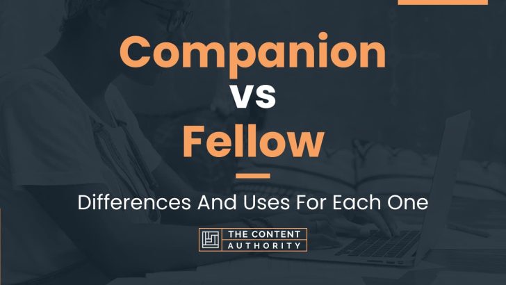 Companion vs Fellow: Differences And Uses For Each One