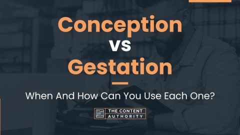 Conception vs Gestation: When And How Can You Use Each One?