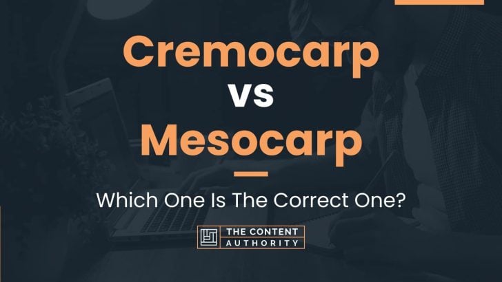 Cremocarp vs Mesocarp: Which One Is The Correct One?