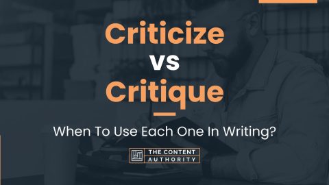 essay vs critique