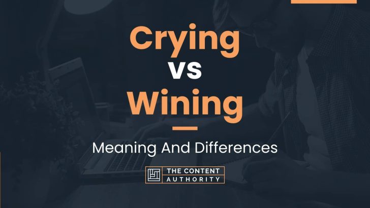 Crying Vs Wining Meaning And Differences   Crying Vs Wining 728x410 