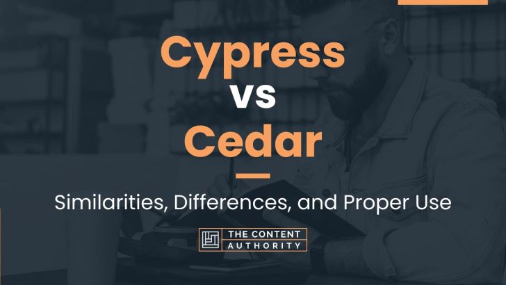 Cypress vs Cedar: Similarities, Differences, and Proper Use