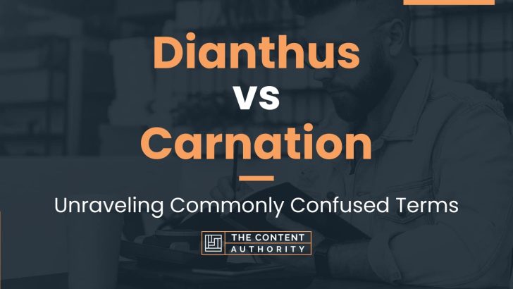 Dianthus vs Carnation: Unraveling Commonly Confused Terms