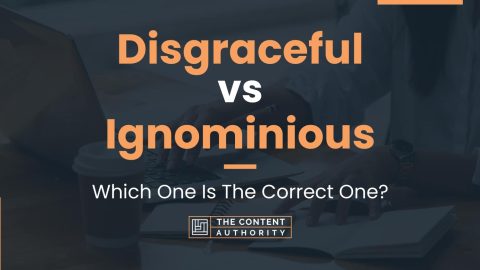 Disgraceful vs Ignominious: Which One Is The Correct One?