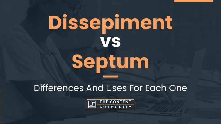 Dissepiment vs Septum: Differences And Uses For Each One