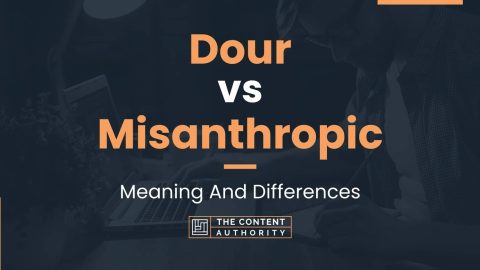 Dour vs Misanthropic: Meaning And Differences