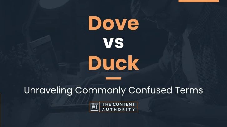 Dove Vs Duck: Unraveling Commonly Confused Terms