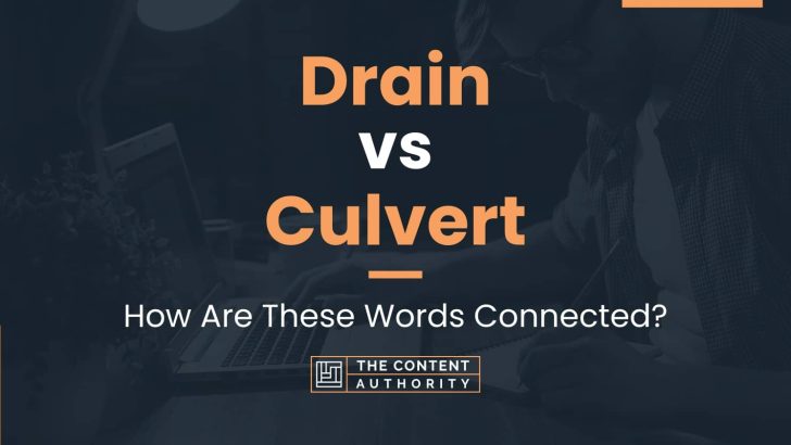 Drain vs Culvert: How Are These Words Connected?