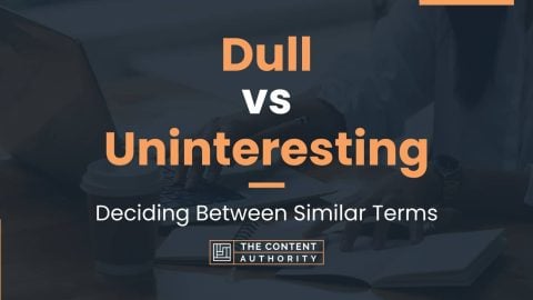 Dull vs Uninteresting: Deciding Between Similar Terms