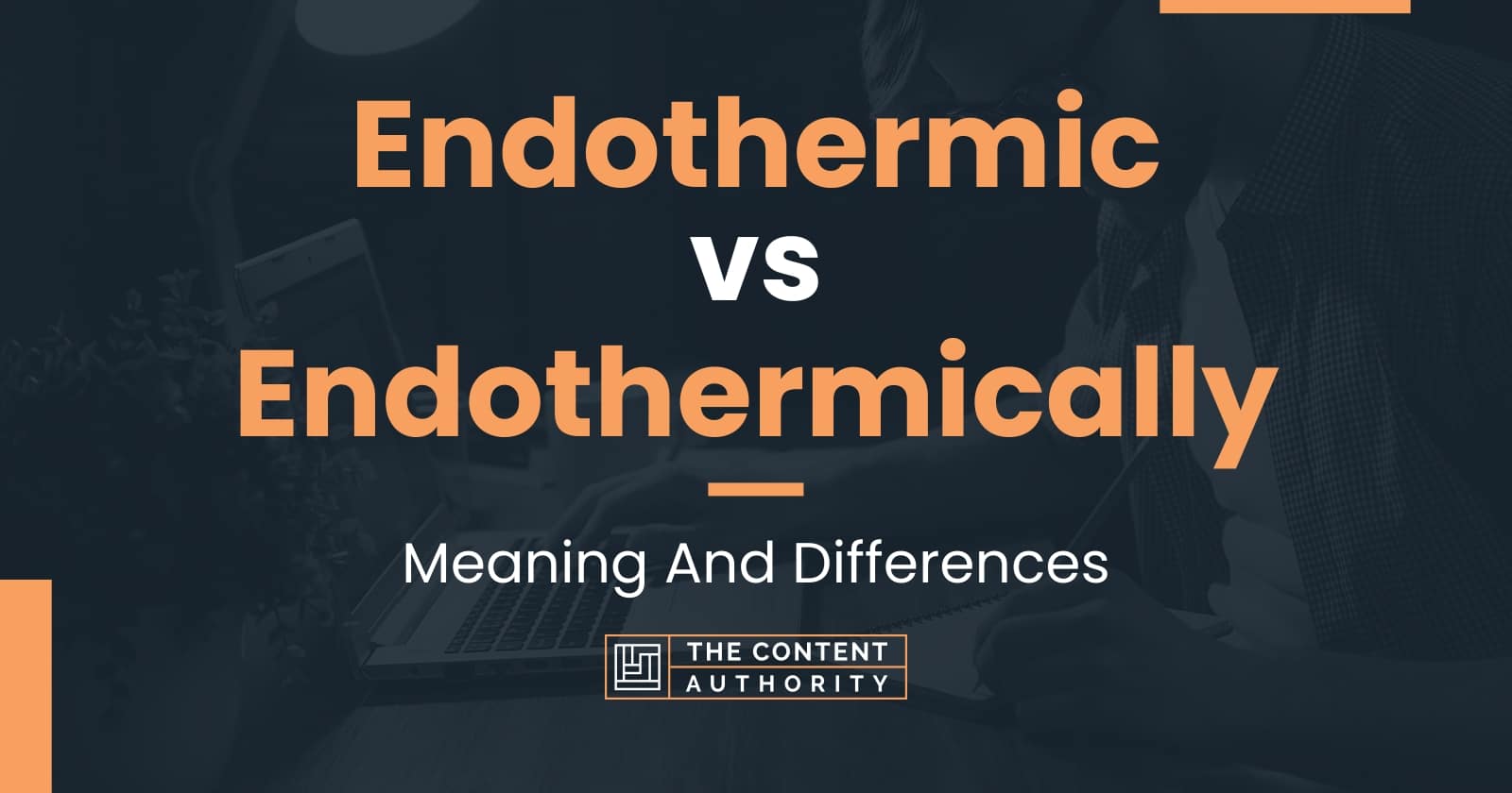 Endothermic vs Endothermically: Meaning And Differences