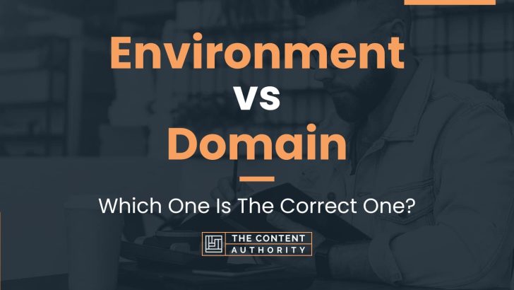 Environment vs Domain: Which One Is The Correct One?