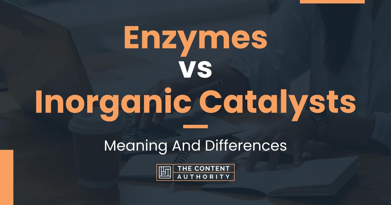 Enzymes vs Catalysts Meaning And Differences
