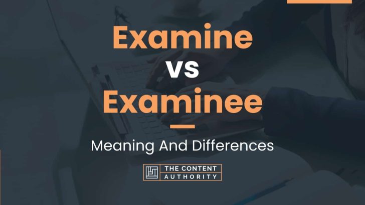 Examine vs Examinee: Meaning And Differences