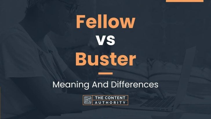 fellow-vs-buster-meaning-and-differences