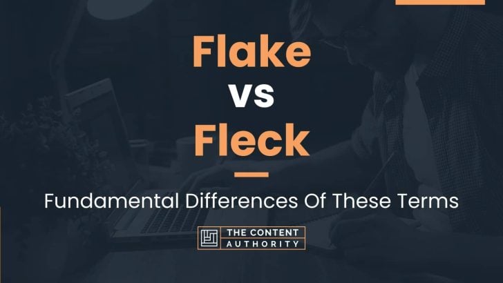 Flake vs Fleck: Fundamental Differences Of These Terms