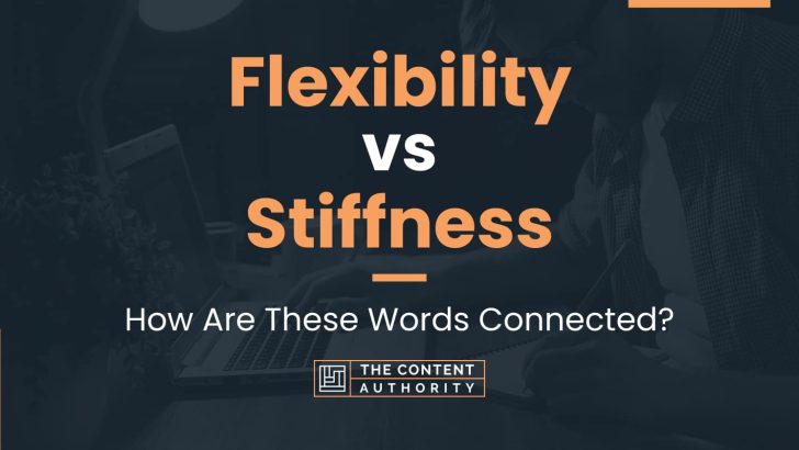 Flexibility vs Stiffness: How Are These Words Connected?