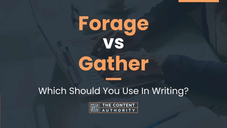 Forage vs Gather: Which Should You Use In Writing?