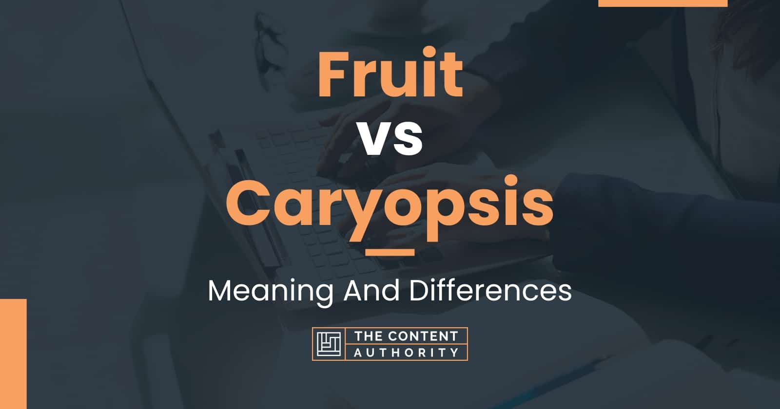 fruit-vs-caryopsis-meaning-and-differences